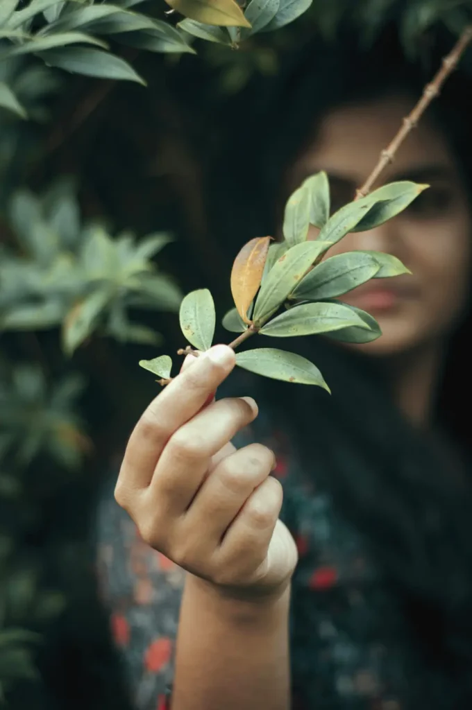 person touching leaves